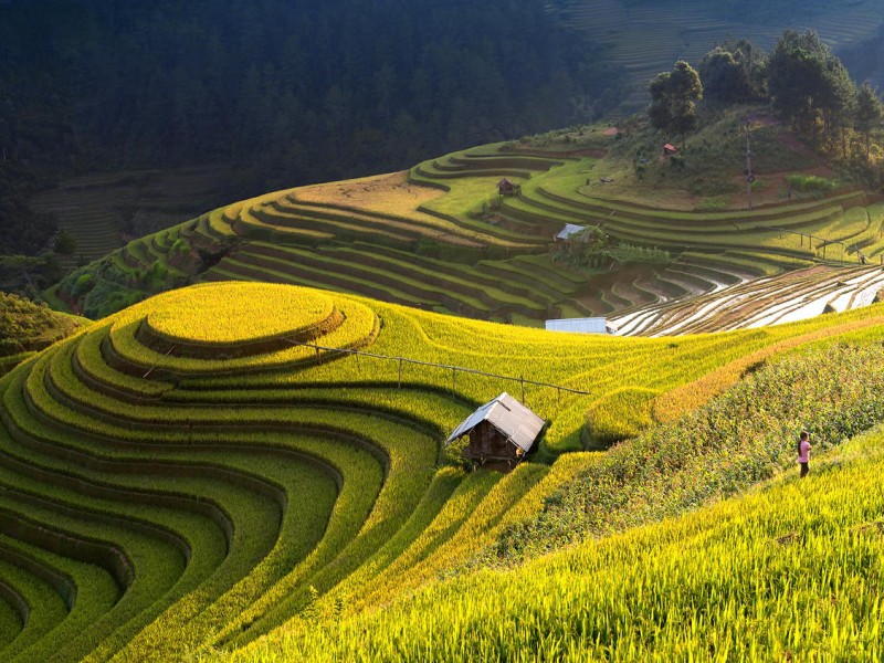 Mu Cang Chai Mu Cang Chai
